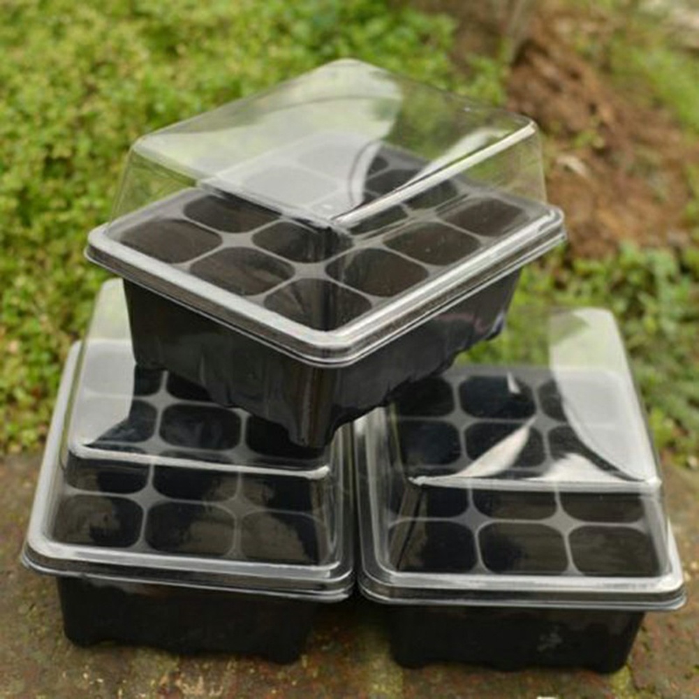 Seed Starter Kit 12 Cells Seed - Bonsai Garden Grow Kit recension och pris