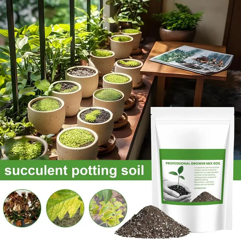 Succulent Soil Potting Mix Aer - Bonsai Garden Usa recension och pris