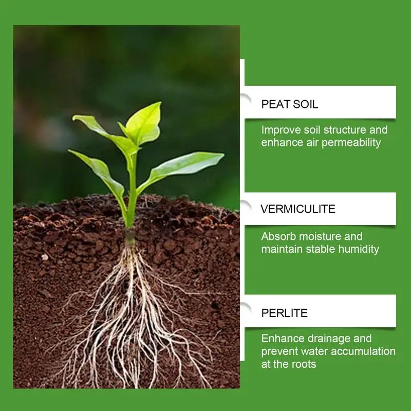 Succulent Soil Potting Mix Aer - Bonsai Garden Usa recension och pris