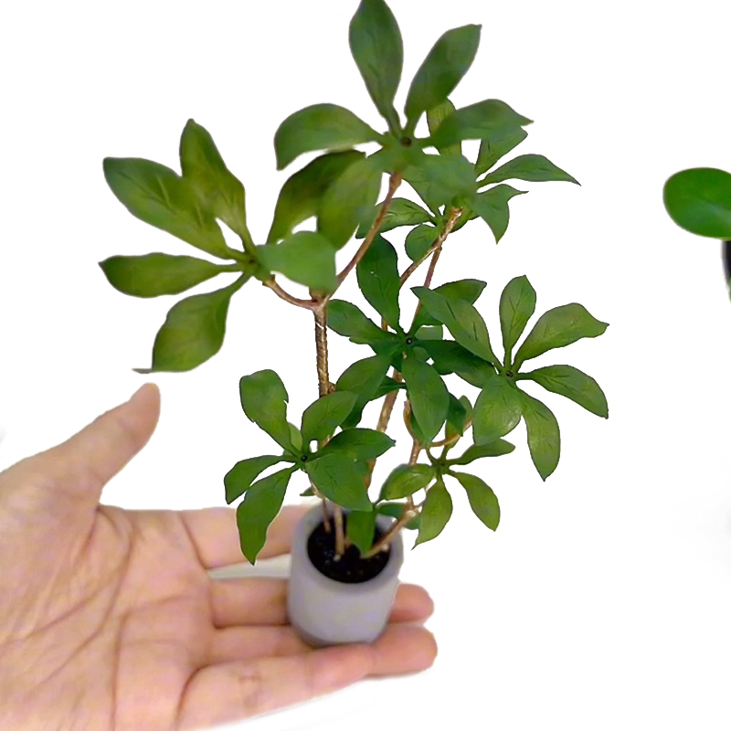 1:6 Dollhouse Miniature Potted - Bonsai Garden Ideas recension och pris