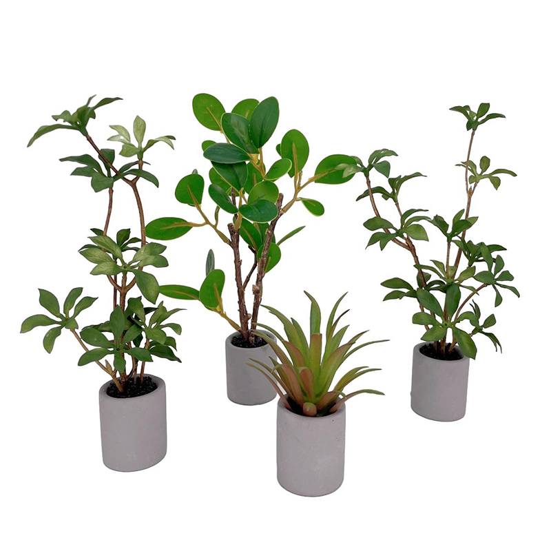 1:6 Dollhouse Miniature Potted - Bonsai Garden Ideas recension och pris