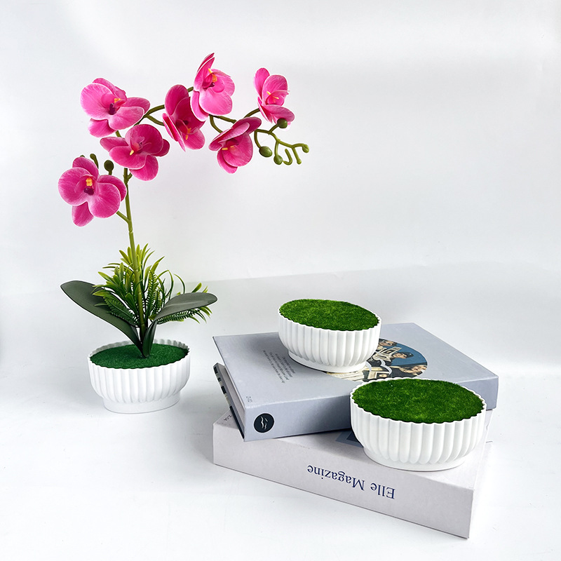 Corrosion resistant injection  - Bonsai Garden Shop recension och pris