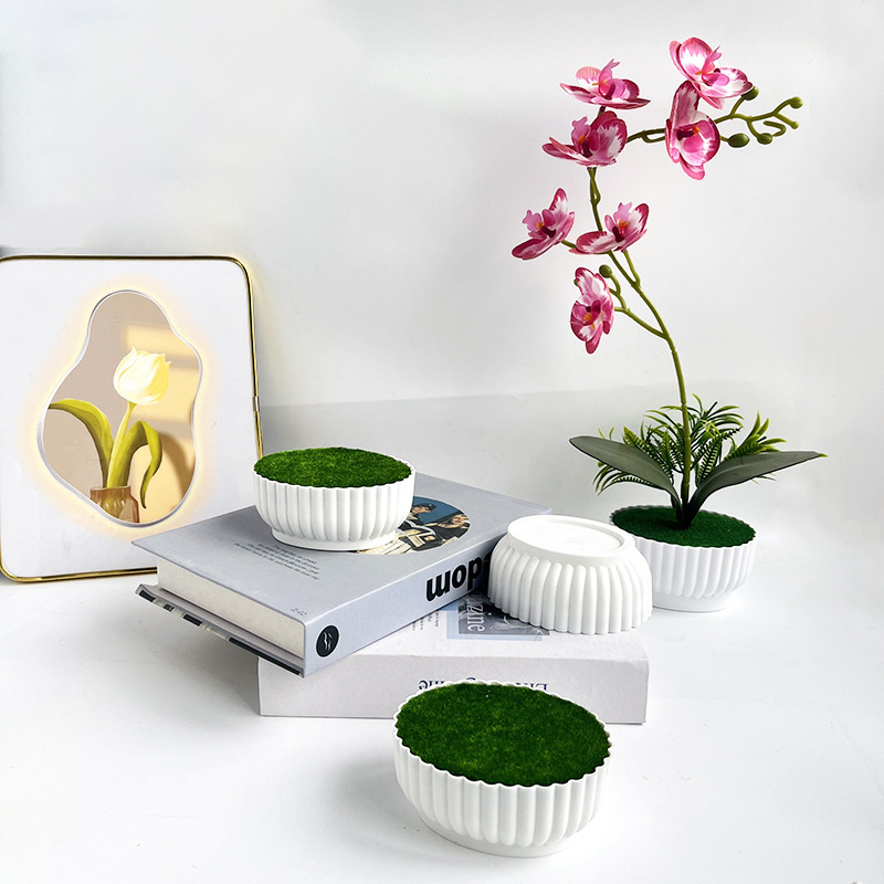 Corrosion resistant injection  - Bonsai Garden Shop recension och pris