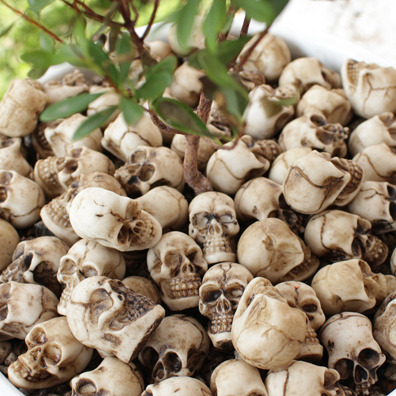 ● 20pcs Mini Skulls Halloween  - Bonsai Garden Ideas recension och pris