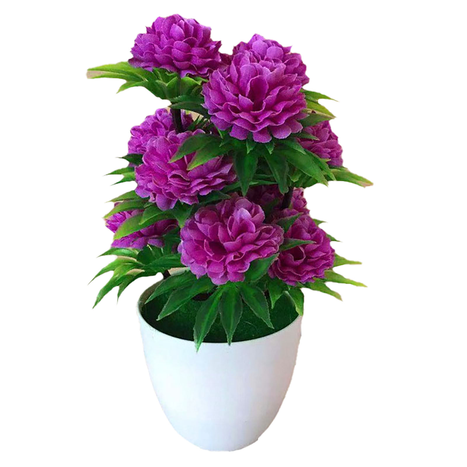 Beautiful Decoration Stylish A - Bonsai Garden Shop recension och pris