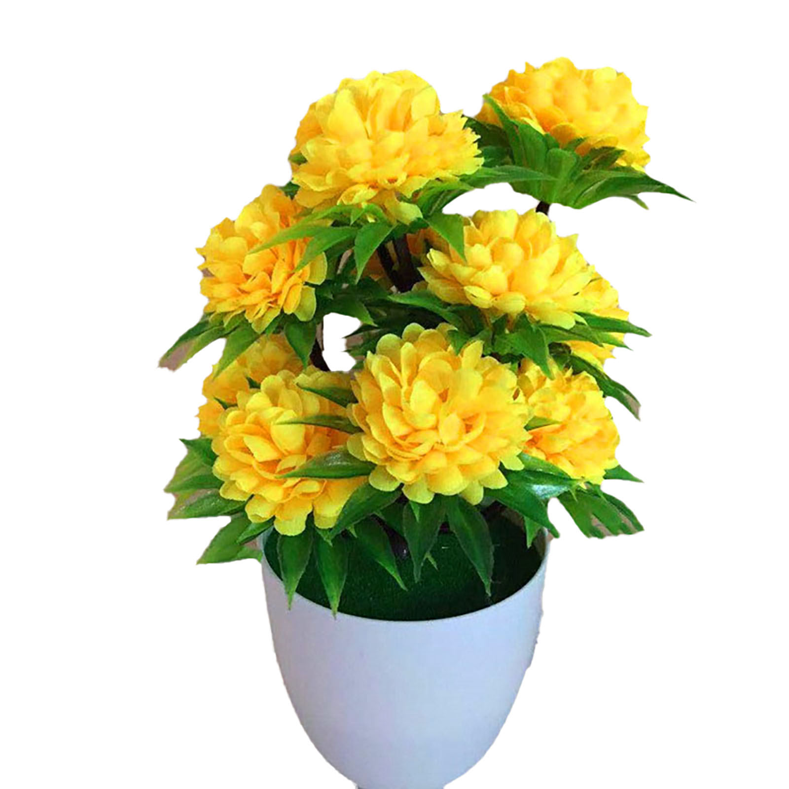 Beautiful Decoration Stylish A - Bonsai Garden Shop recension och pris