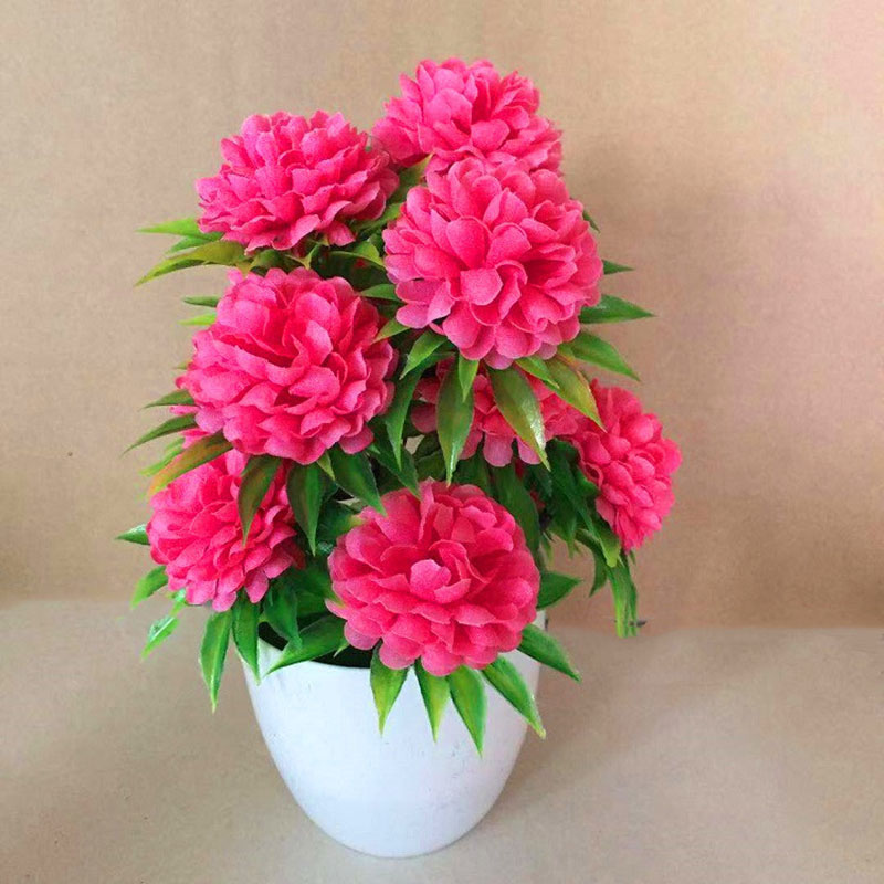 Beautiful Decoration Stylish A - Bonsai Garden Shop recension och pris