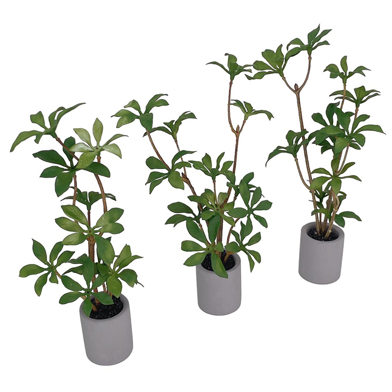 1:6 Dollhouse Miniature Potted - Bonsai Garden Ideas recension och pris