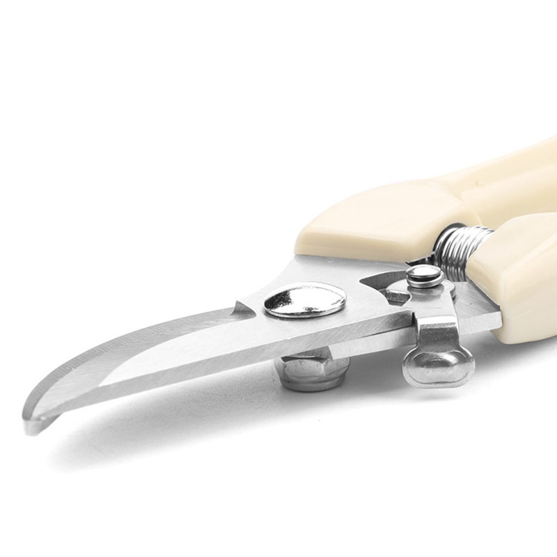 Stainless Steel Garden Scissor - Bonsai Garden World recension och pris