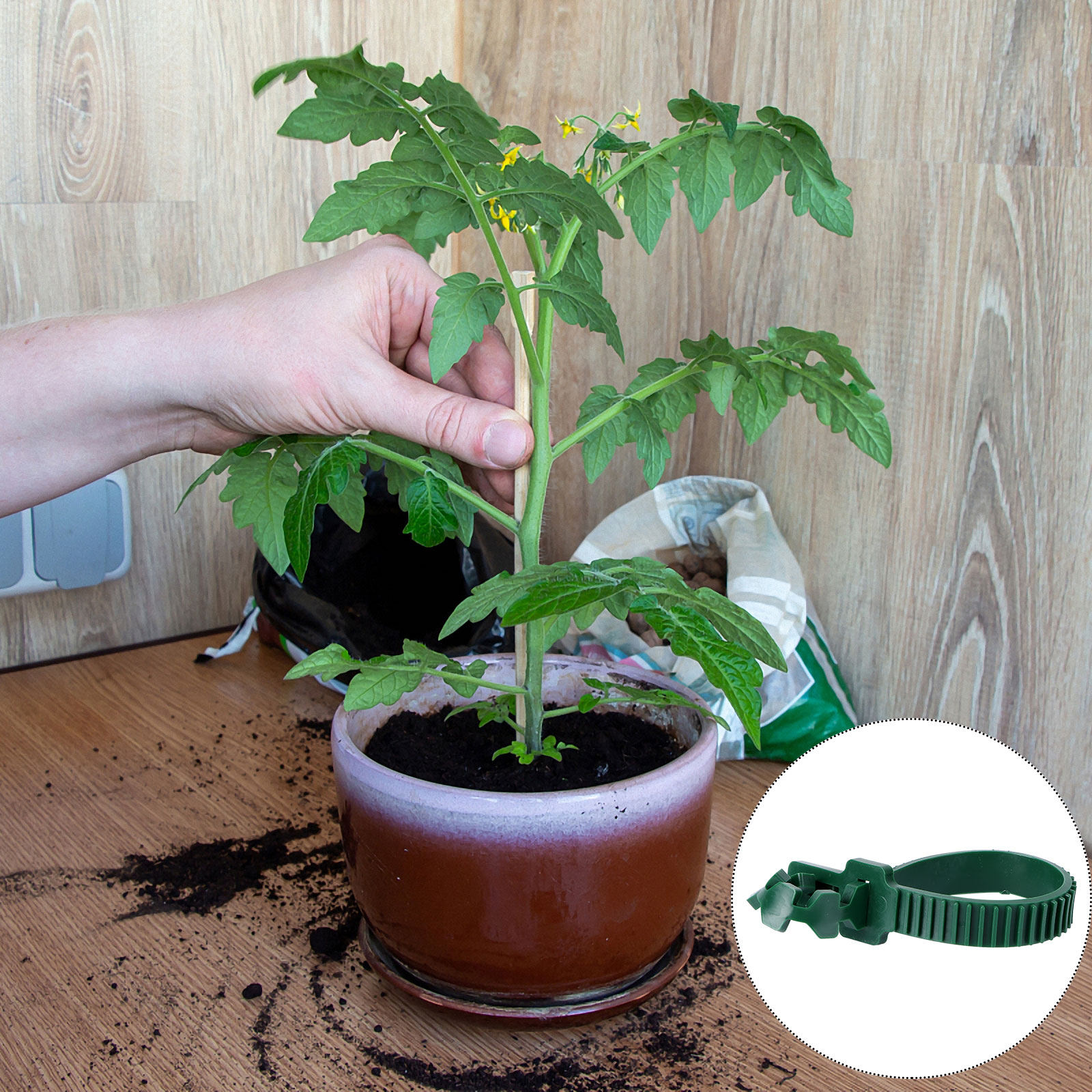 20Pcs Vine Fixing Buckle Garde - Bonsai Garden Usa recension och pris