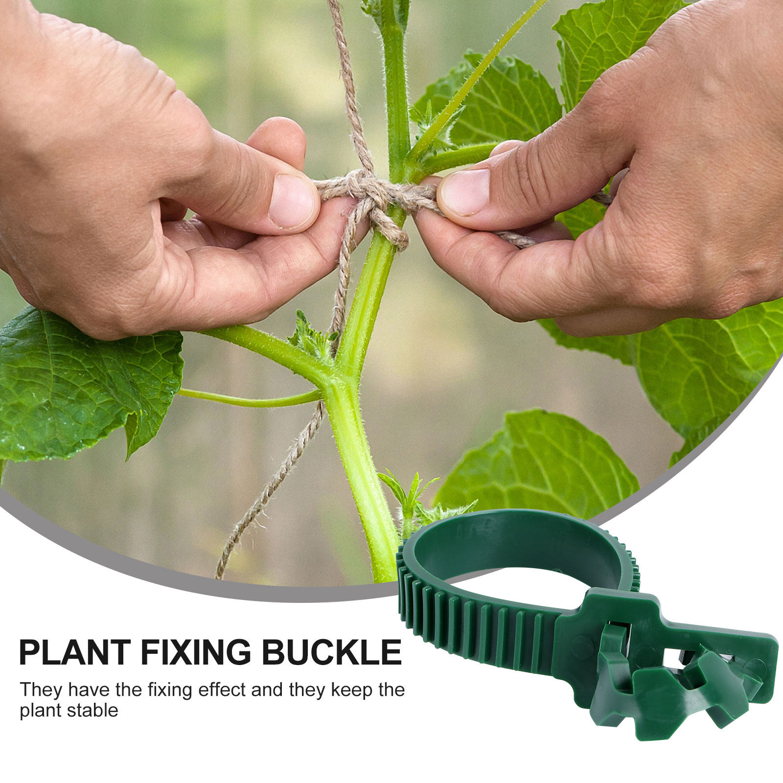 20Pcs Vine Fixing Buckle Garde - Bonsai Garden Usa recension och pris