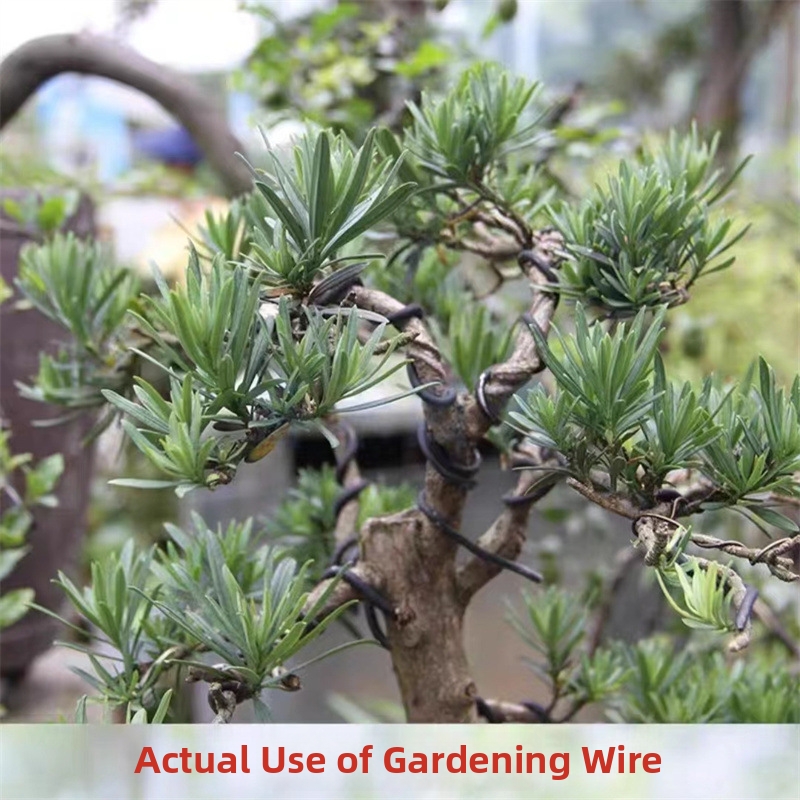 1.5MM Bonsai Wires Aluminum Bo - Bonsai Garden Usa recension och pris