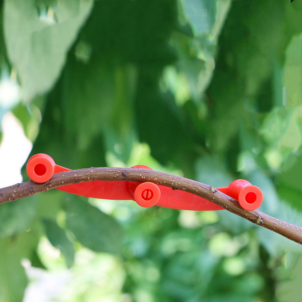 10Pcs Adjustable Plant Trainin - Bonsai Garden Usa recension och pris