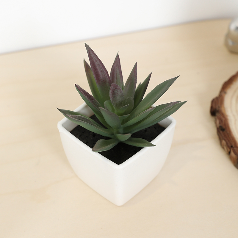 Mini Artificial Succulent Fair - Bonsai Garden Ideas recension och pris