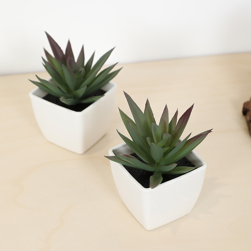 Mini Artificial Succulent Fair - Bonsai Garden Ideas recension och pris