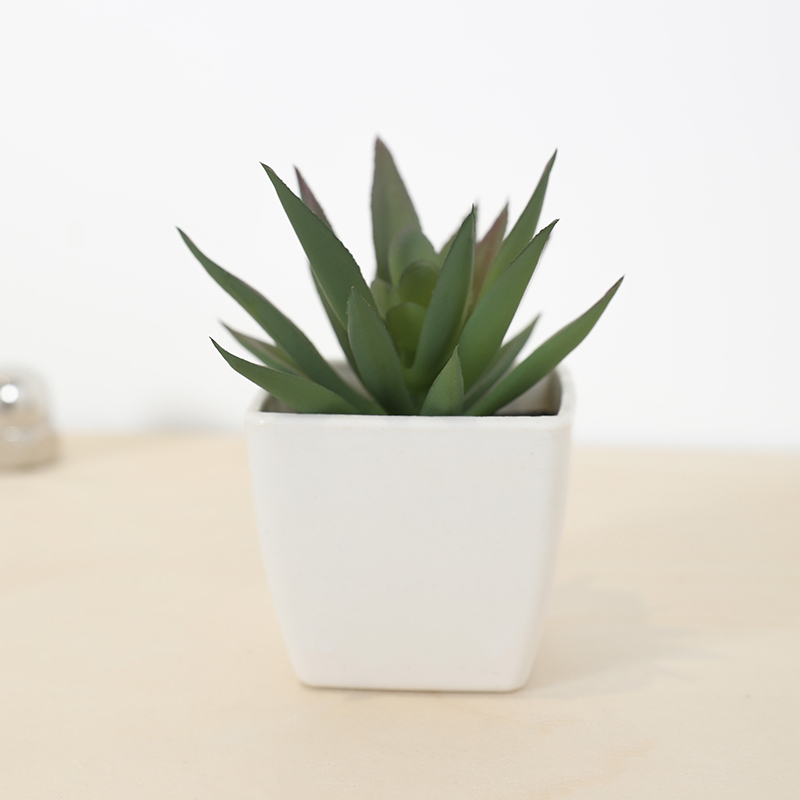 Mini Artificial Succulent Fair - Bonsai Garden Ideas recension och pris