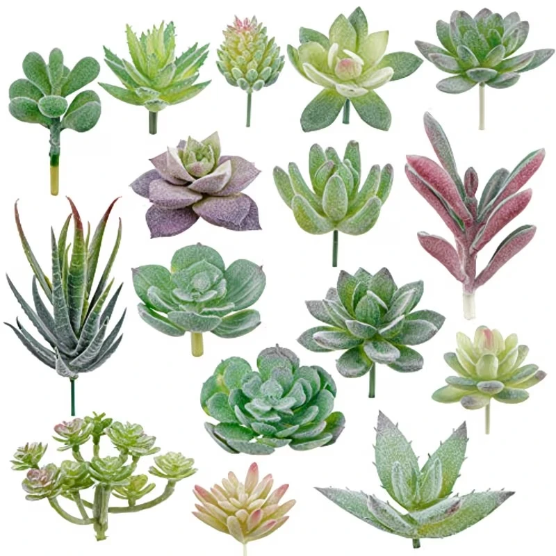 10/20Pcs PVC Succulents Plants - Bonsai Garden Ideas recension och pris