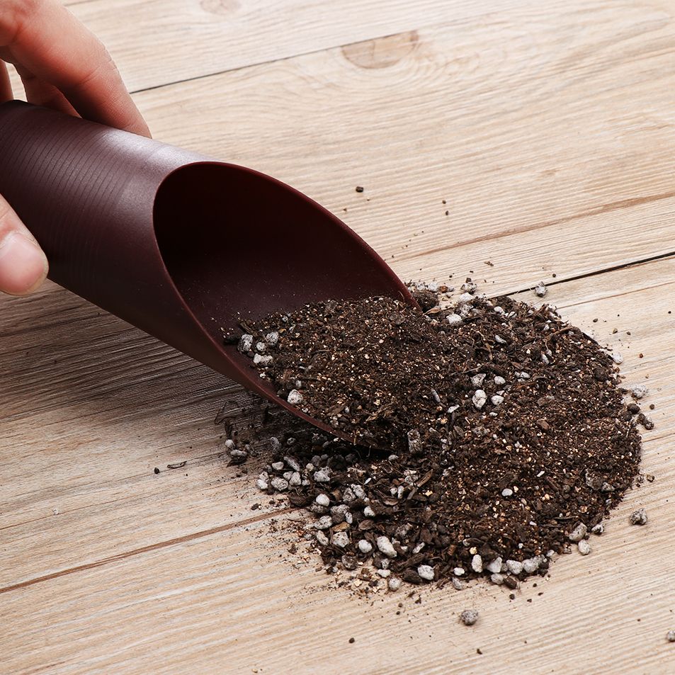 1PC Plastic Soil Shovel Cup Fo - Bonsai Garden Usa recension och pris